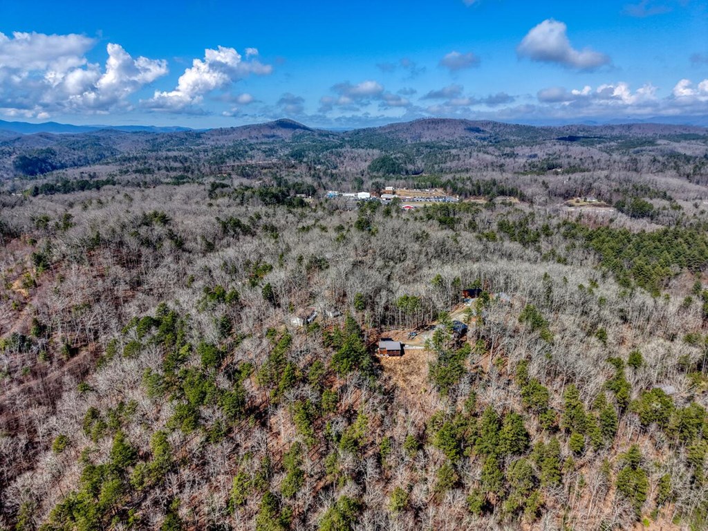 195 Lanes Way Murphy, NC 28906 - Photo 36 of 39