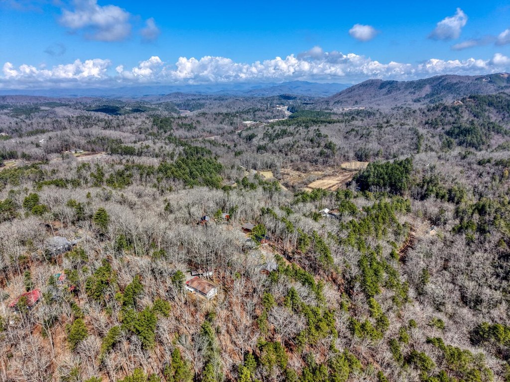 195 Lanes Way Murphy, NC 28906 - Photo 37 of 39