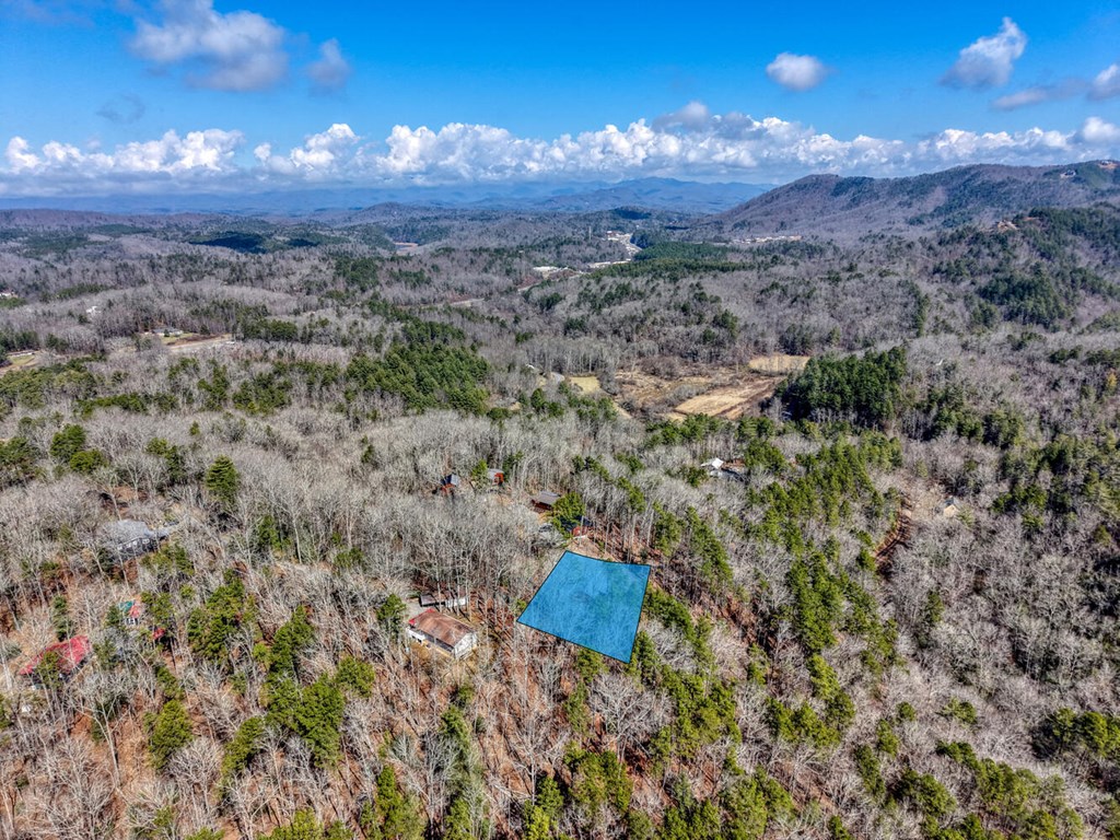 195 Lanes Way Murphy, NC 28906 - Photo 38 of 39