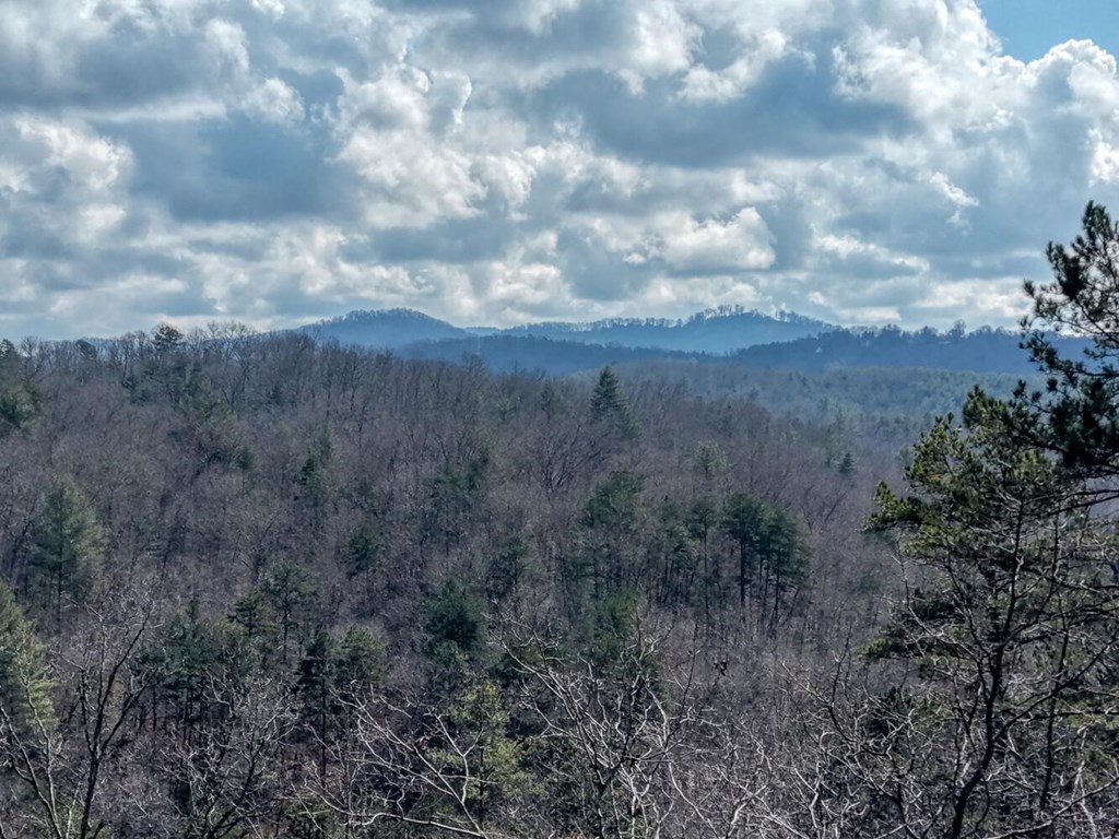 195 Lanes Way Murphy, NC 28906 - Photo 7 of 39