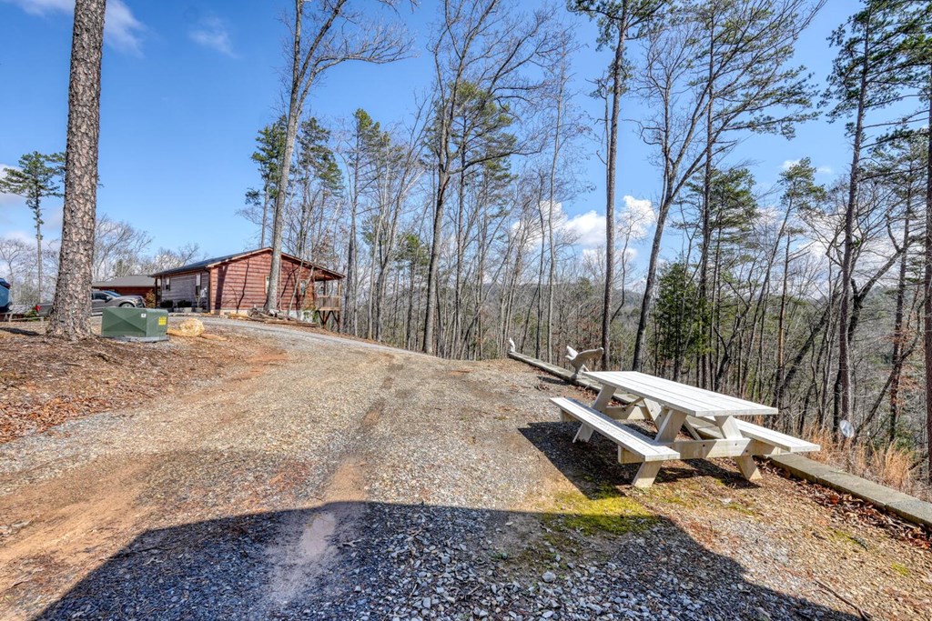 195 Lanes Way Murphy, NC 28906 - Photo 9 of 39