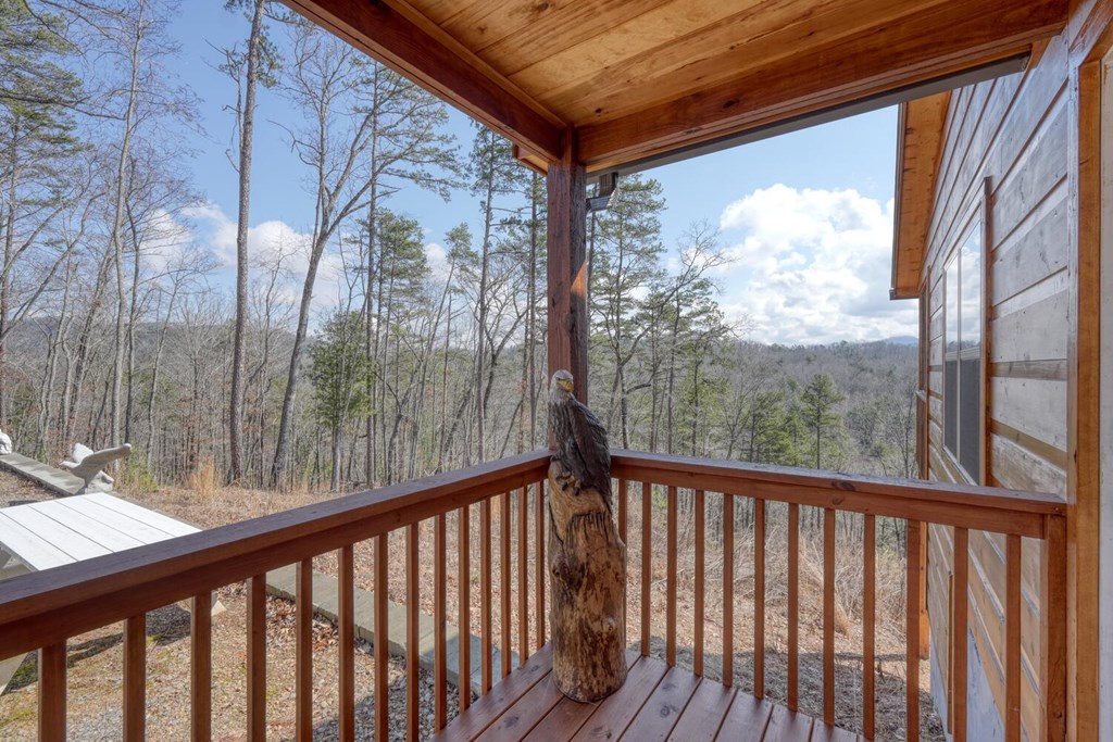 195 Lanes Way Murphy, NC 28906 - Photo 10 of 39