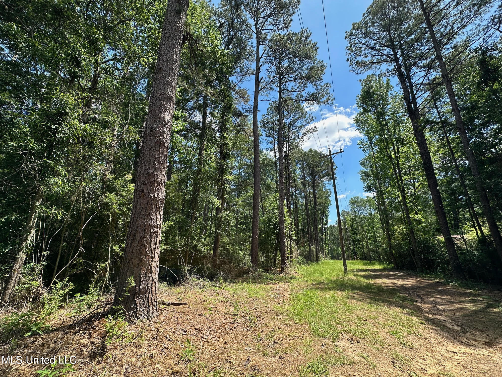 1 Mt Zion Road Magee, MS 39111 - Photo 3 of 23 2 - Copy