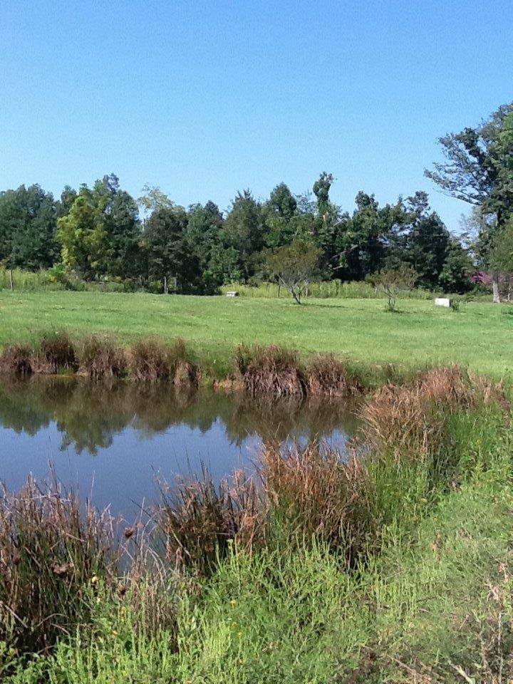 180 Gary Powell Road Eubank, KY 42567 - Photo 11 of 12 Additional Photo