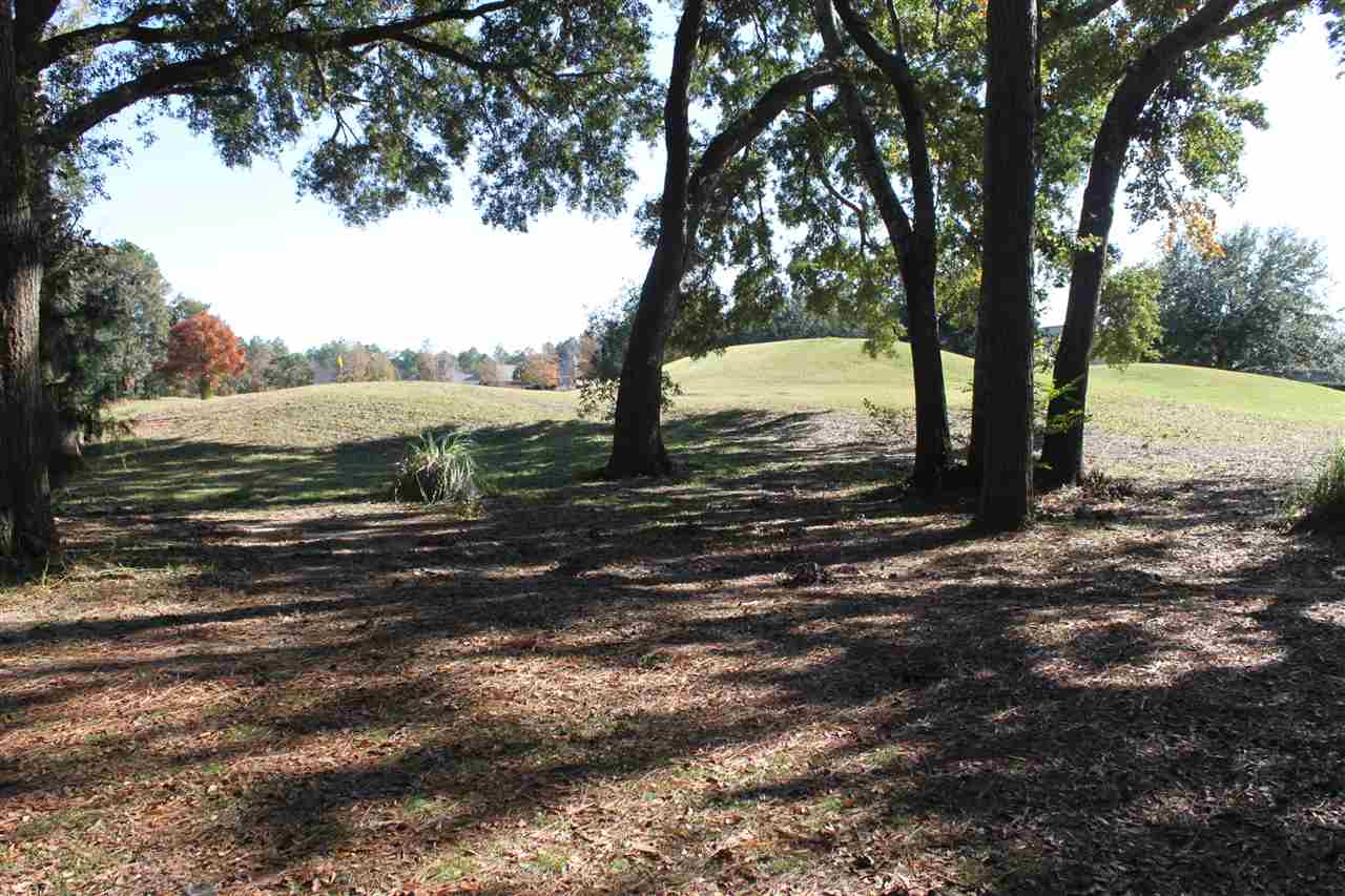 23148 Miflin Road Foley, AL 36535 - Photo 9 of 34
