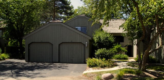 a house with trees in front of it