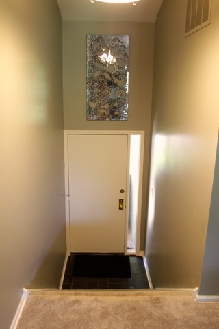 260 Timber Ridge Lane, Unit A Lake Barrington, IL 60010 - Photo 2 of 20