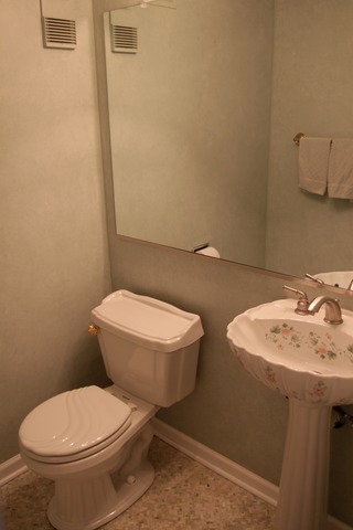 260 Timber Ridge Lane, Unit A Lake Barrington, IL 60010 - Photo 14 of 20 a white toilet sitting next to a bathroom sink
