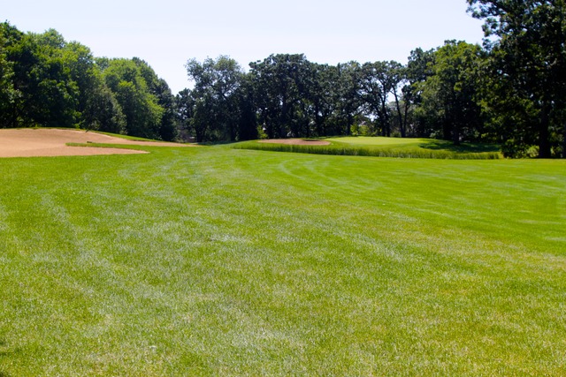 260 Timber Ridge Lane, Unit A Lake Barrington, IL 60010 - Photo 17 of 20 a view of a tennis ground with trees in the background