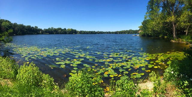 260 Timber Ridge Lane, Unit A Lake Barrington, IL 60010 - Photo 19 of 20 a view of a lake with houses in background