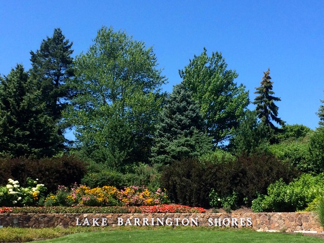 260 Timber Ridge Lane, Unit A Lake Barrington, IL 60010 - Photo 20 of 20 front view of a house with a tree