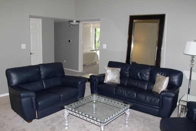 260 Timber Ridge Lane, Unit A Lake Barrington, IL 60010 - Photo 3 of 20 a living room with furniture and a couch