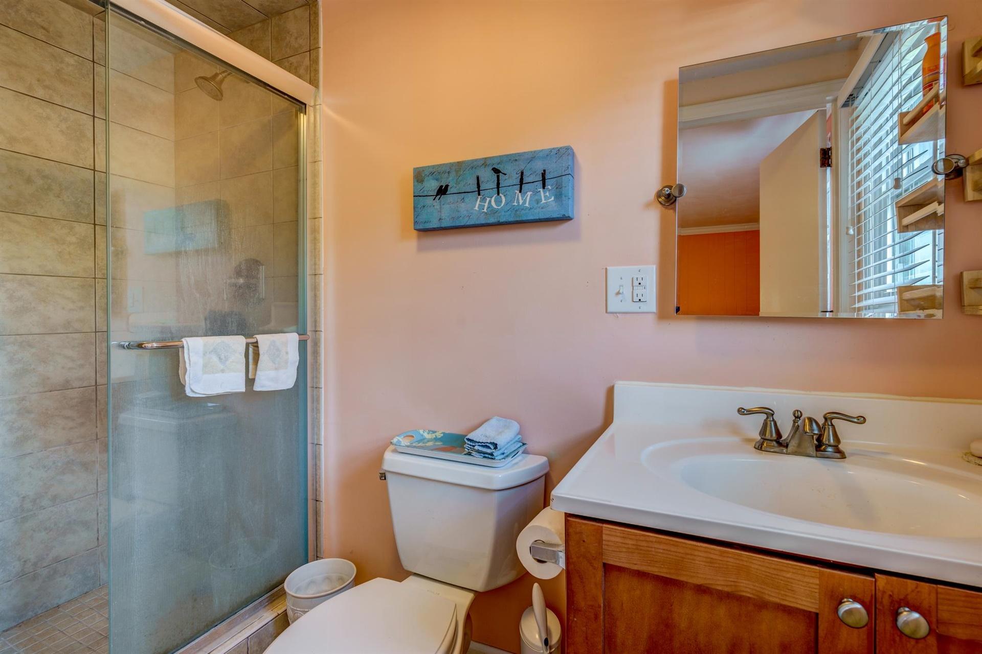 411 Monte Vista Road Union Hall, VA 24176 - Photo 29 of 45 a bathroom with a sink mirror and toilet
