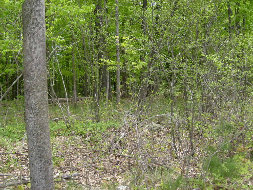 0 Barksdale Road Westport, NY 12993 - Photo 6 of 12