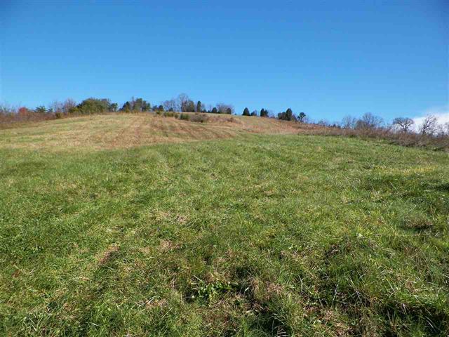 Lot 8 Kyker Ferry Road Kodak, TN 37764 - Photo 8 of 8 565611-7