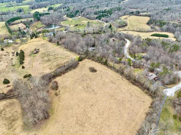 a view of a dry yard with trees