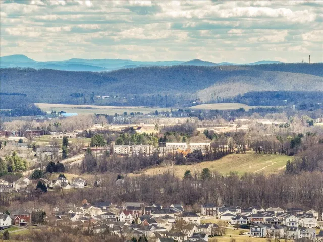 a view of a city with lots of trees