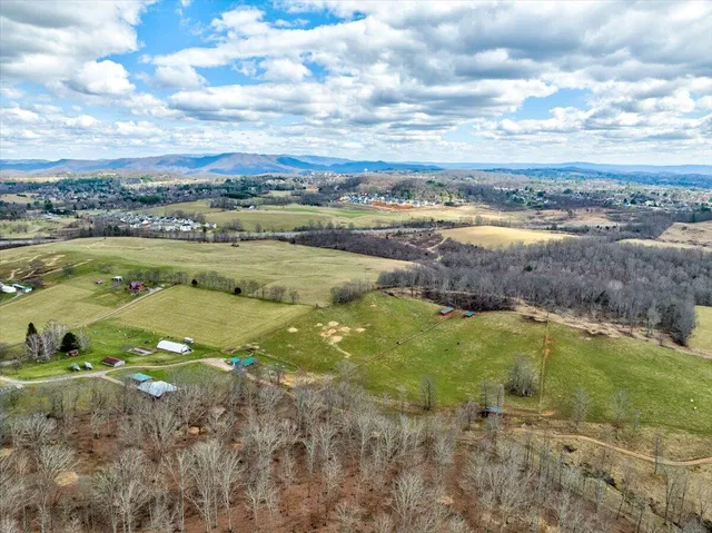 a view of a dry yard with trees
