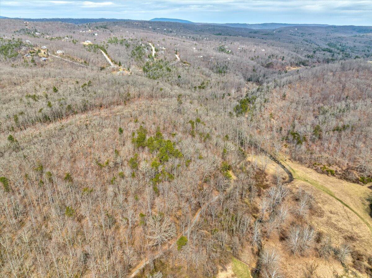 0 Hidden Valley Road Blacksburg, VA 24060 - Photo 27 of 61 a view of a dry yard with trees