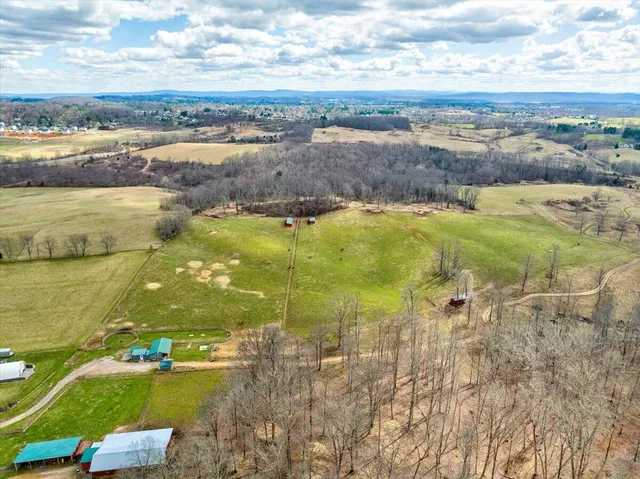 a view of a field of trees