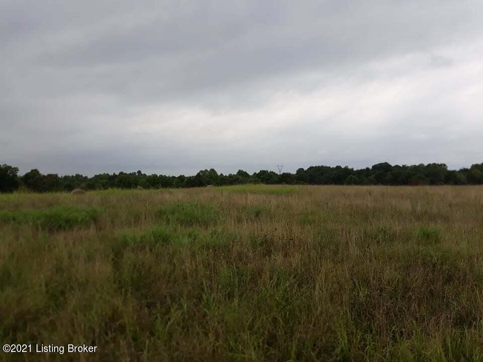 581 Meredith Ridge Road Leitchfield, KY 42754 - Photo 1 of 11 Field