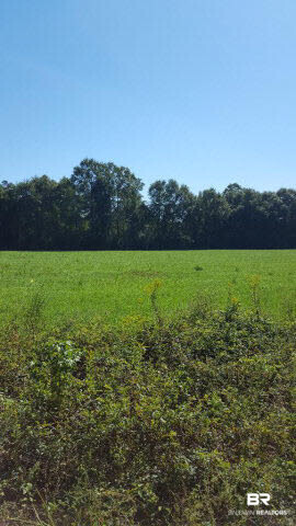 0 Ridge Road Brewton, AL 36426 - Photo 1 of 2