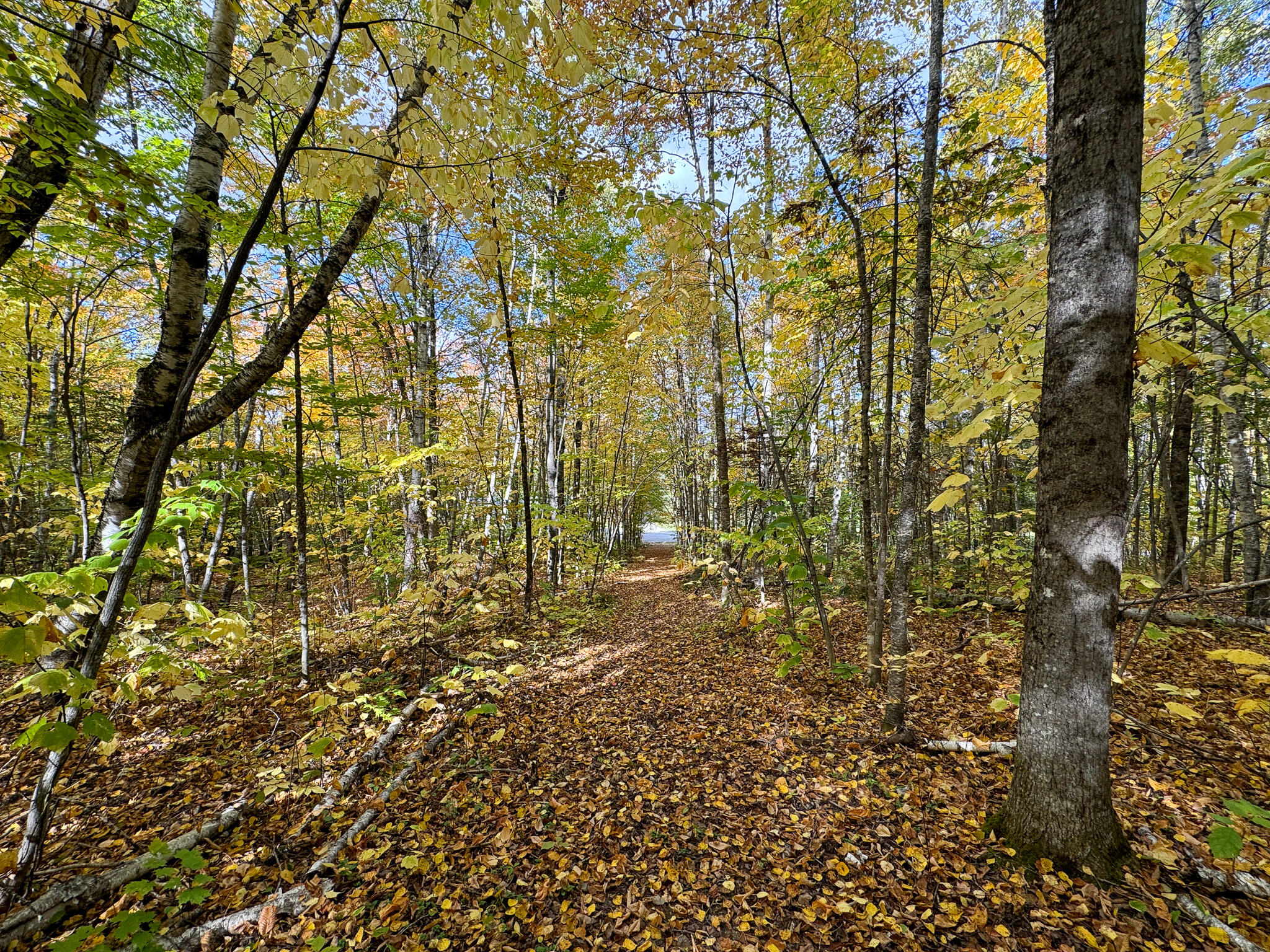 194 Station Road Sherman, ME 04776 - Photo 42 of 50 43