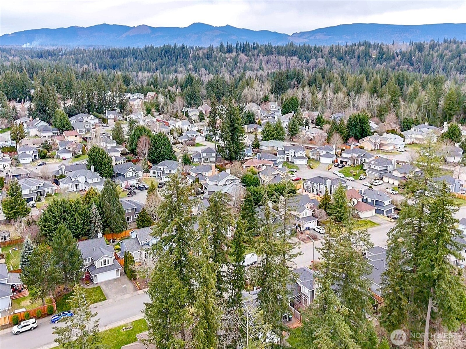 23425 Southeast 248th Street Maple Valley, WA 98038 - Photo 38 of 40 a view of a city with lush green forest
