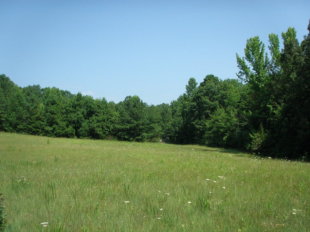4684 Springfield Road Meherrin, VA 23954 - Photo 29 of 34 Gallery Image 29