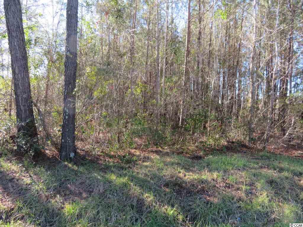 4 Dossies Road Conway, SC 29526 - Photo 1 of 16 Gallery Image 1