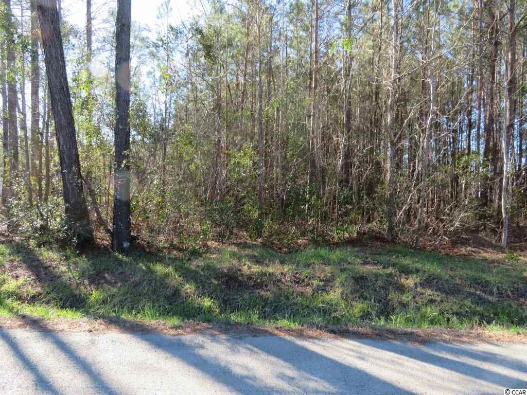 4 Dossies Road Conway, SC 29526 - Photo 2 of 16 Gallery Image 2