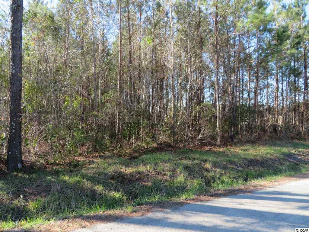 4 Dossies Road Conway, SC 29526 - Photo 3 of 16 Gallery Image 3