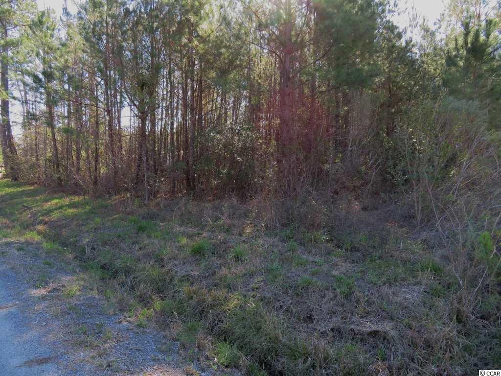 4 Dossies Road Conway, SC 29526 - Photo 5 of 16 Gallery Image 5