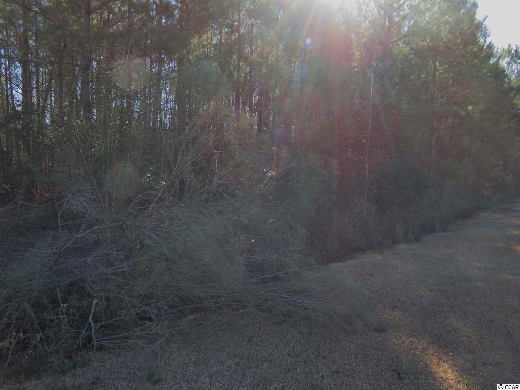 4 Dossies Road Conway, SC 29526 - Photo 6 of 16 Gallery Image 6