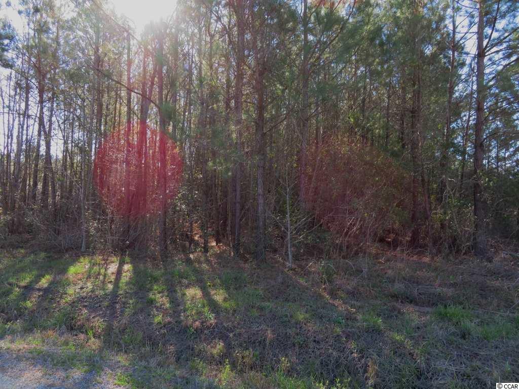 4 Dossies Road Conway, SC 29526 - Photo 7 of 16 Gallery Image 7