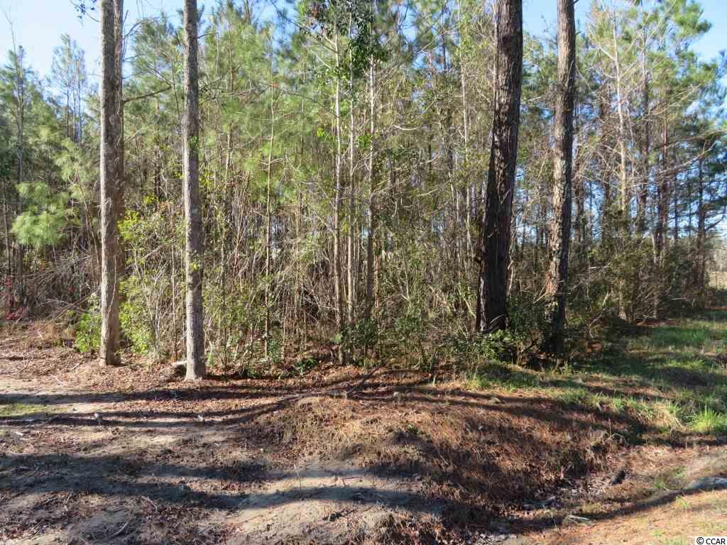 4 Dossies Road Conway, SC 29526 - Photo 9 of 16 Gallery Image 9