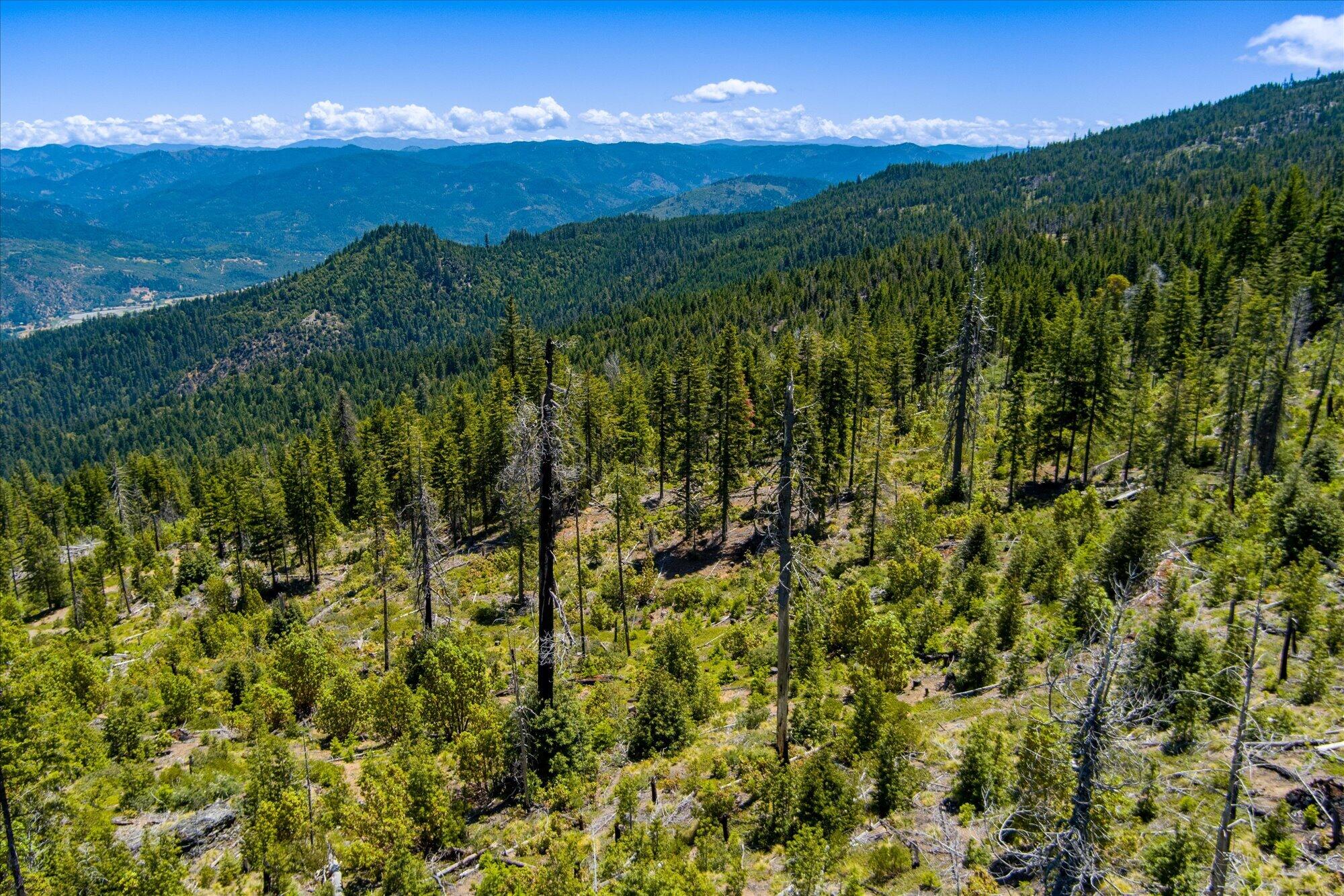 0 Forest Rte 4N20 Road Hayfork, CA 96041 - Photo 5 of 22