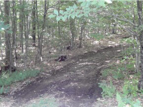 300 Tucker Road Grafton, NH 03240 - Photo 21 of 21 Gallery Image 21