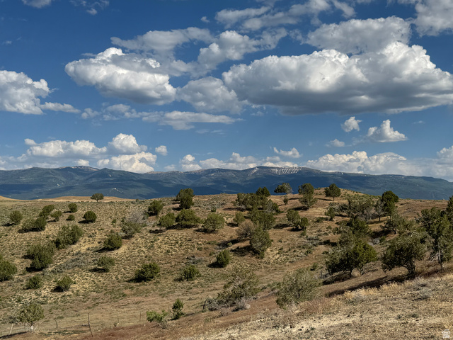 16875 East Race Track Road Moroni, UT 84646 - Photo 30 of 30