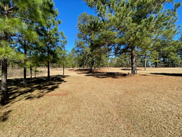 2160 Robb St Extension East Summit, MS 39666 - Photo 40 of 65 Photo 40