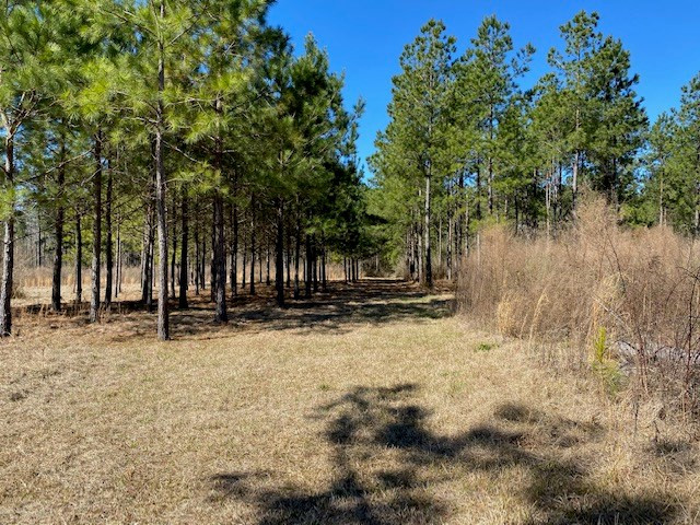 2160 Robb St Extension East Summit, MS 39666 - Photo 47 of 65 Photo 47