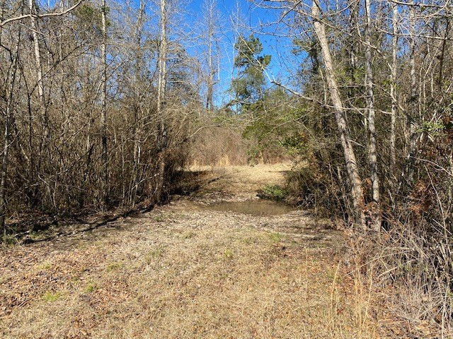 2160 Robb St Extension East Summit, MS 39666 - Photo 51 of 65 Photo 51