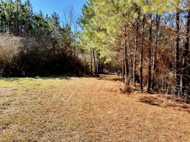2160 Robb St Extension East Summit, MS 39666 - Photo 52 of 65 Photo 52