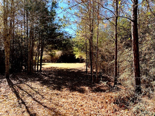 2160 Robb St Extension East Summit, MS 39666 - Photo 53 of 65 Photo 53