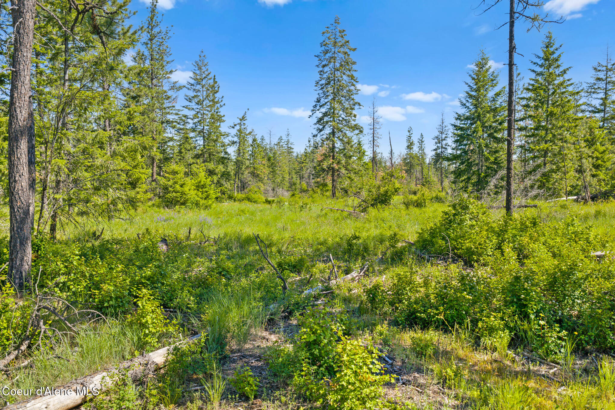 Nka East Rookery Road Hayden, ID 83835 - Photo 24 of 25 Wooded