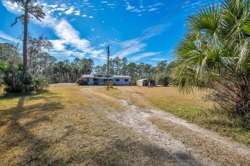 425 Scooter Point Geneva, FL 32732 - Photo 4 of 41 a view of a yard with palm tree