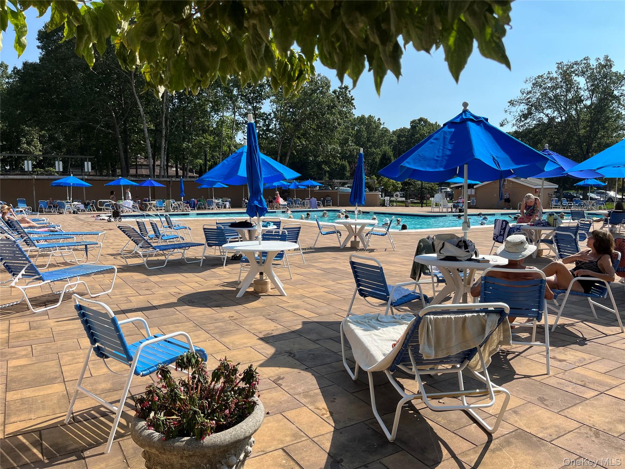 373 Woodbridge Drive, Unit B Ridge, NY 11961 - Photo 19 of 23 a view of a patio with swimming pool table and chairs