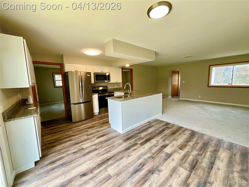 5464 Hollow Corners Road Dryden, MI 48428 - Photo 34 of 39