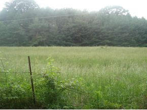 Tbd Sink Valley Road, Unit 15 Butler, TN 37640 - Photo 1 of 2 norris