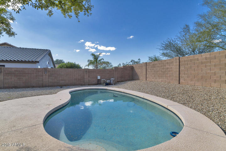 2534 West Red Fox Road Phoenix, AZ 85085 - Photo 4 of 24 Pool